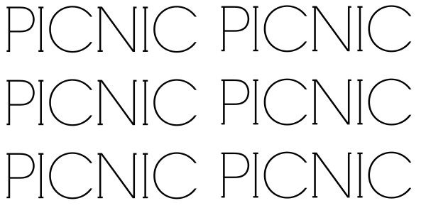 Picnic3