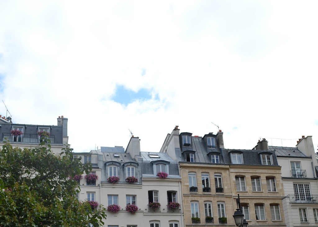 rooftops in paris